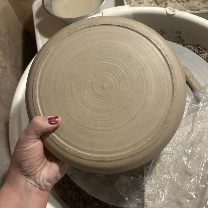 Dish
